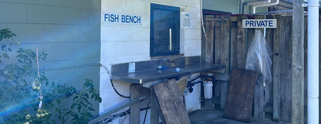 Fish bench